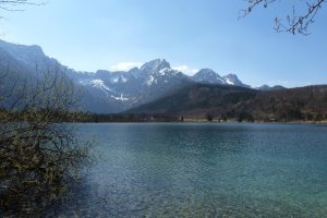 Almsee