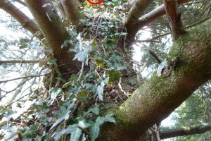 Geocache