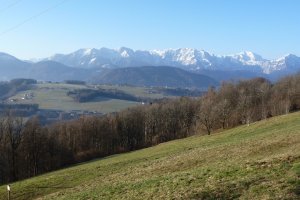 Sonnenschein